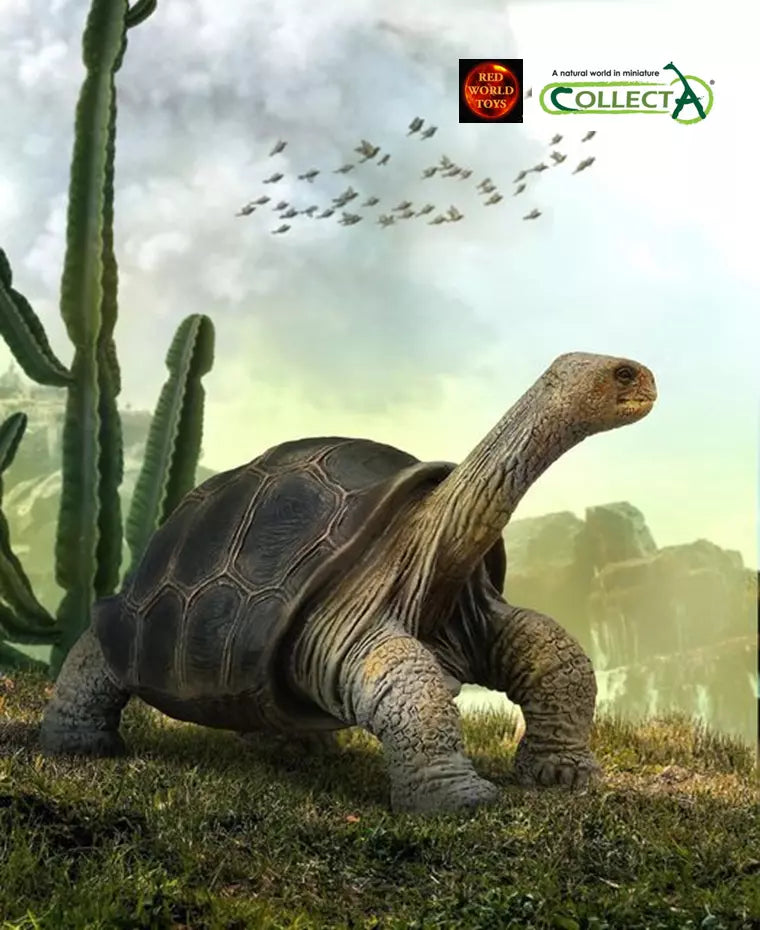 CollectA  | Pinta Island Tortoise