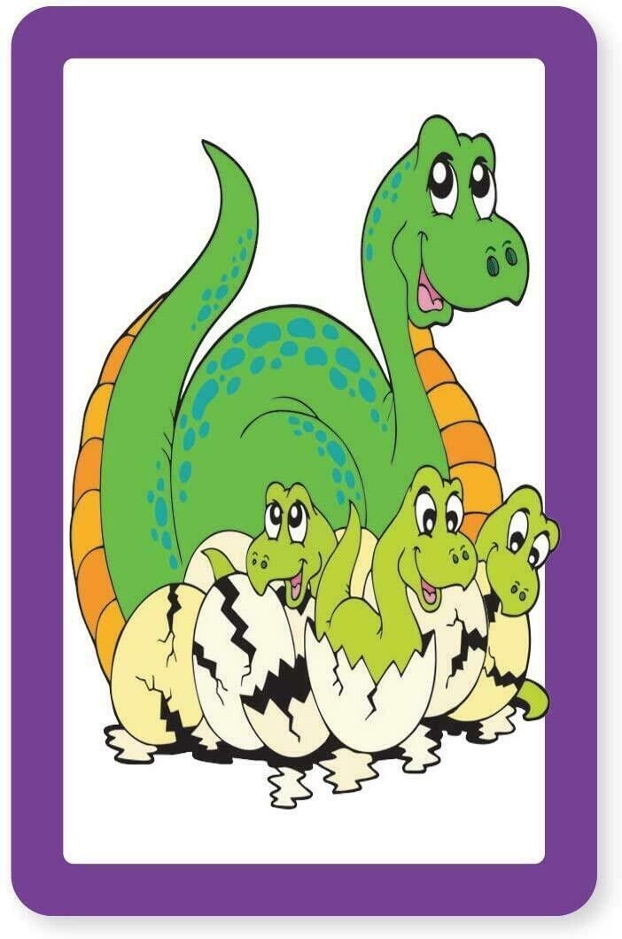 Snap & Pairs Dinosaurs Card Game