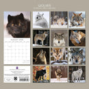 2026 Square Calendar Wolves