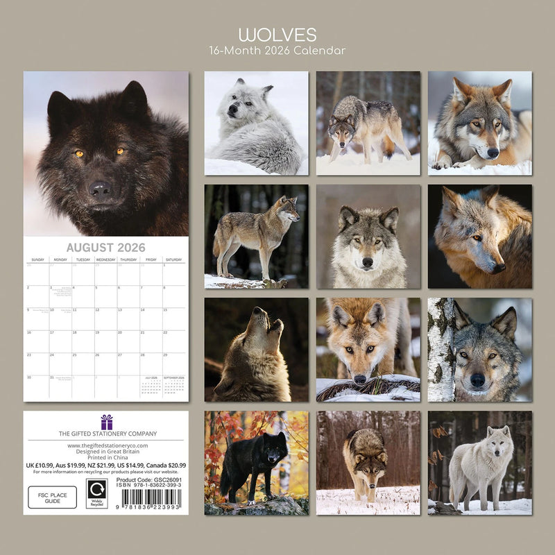 2026 Square Calendar Wolves