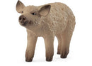 Schleich - Mangalica Piglet -2025 Release RRP $10.99