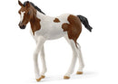 Schleich - Paint Horse Foal 2025