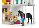 Schleich - Lakeside Country House and Stable  RRP $538.99  SPECIAL