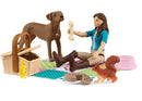Schleich - Picnic with Lisa RRP $34.99