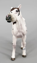 Schleich - Knabstrupper Gelding
