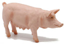 Papo Sow