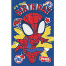 Spider-Man Birthday Card Premium
