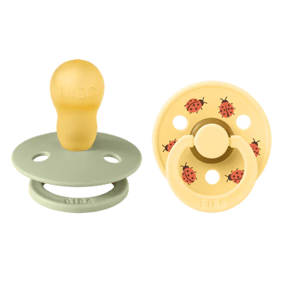 BIBS | Pacifier Studio Ladybug -Sage Mix