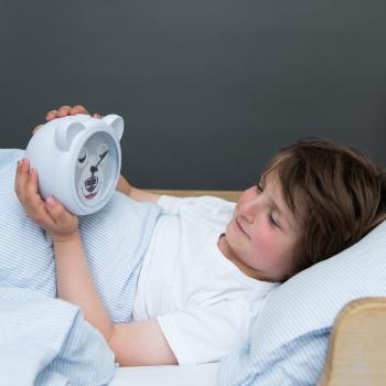 Zazu | Bobby the Bear Sleeptrainer with Alarm Clock