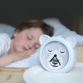 Zazu | Bobby the Bear Sleeptrainer with Alarm Clock