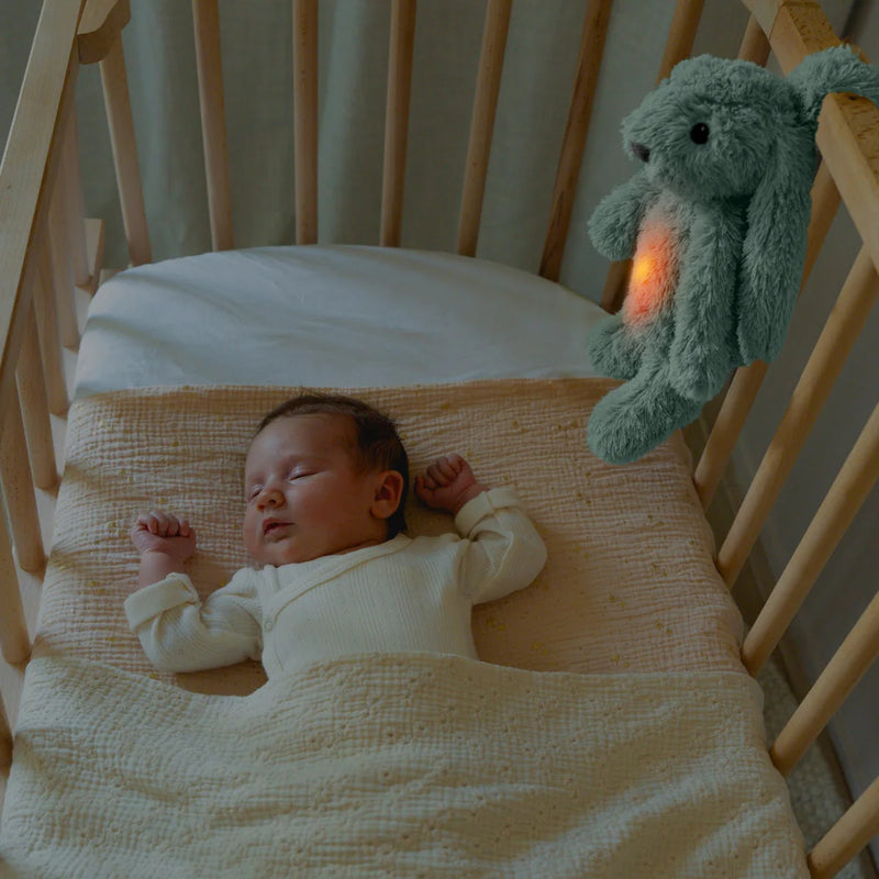 Zazu | Sleep Soother - Ro The Rabbit