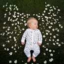 Imababy | Long Sleeve Zipsuit  - Winter Meadow