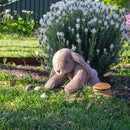 Wonderlings | Margot Hare - Medium