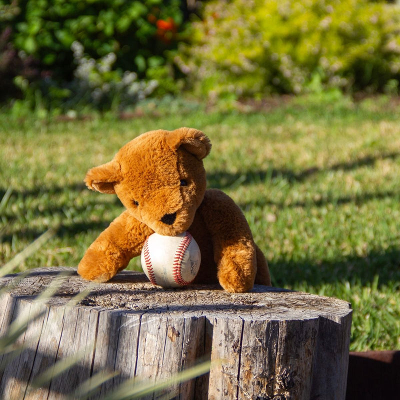 Wonderlings | Theodore Teddy - Medium