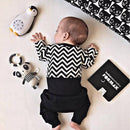 Zazu | Zoe the Penguin Sound Machine