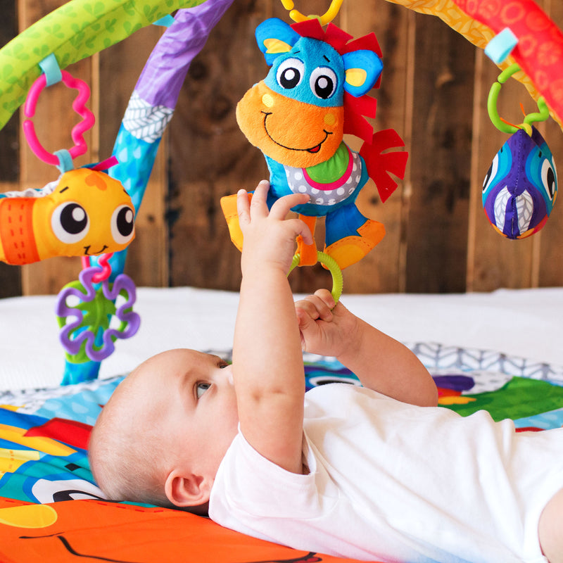 Playgro | Clip Clop Activity Gym