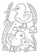 Great Kiwi Colouring Book