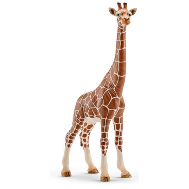 Schleich | Female Giraffe