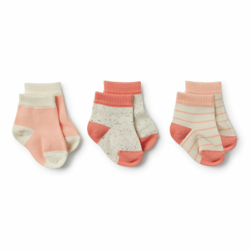 Wilson & Frenchy | Baby socks 3 pack