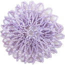 PW Dance | Beaded Bun Cover - Assorted