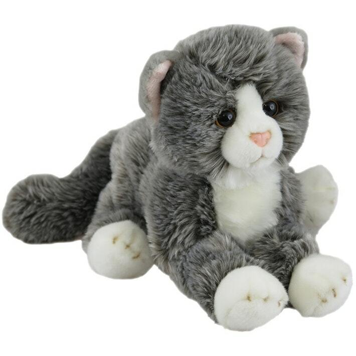 Soft Grey Lying Cat | Antics