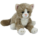 Antics | Soft Cat Beige Lying 36cm