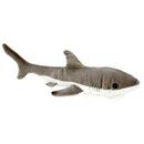 Wild Seas Shark | Antics