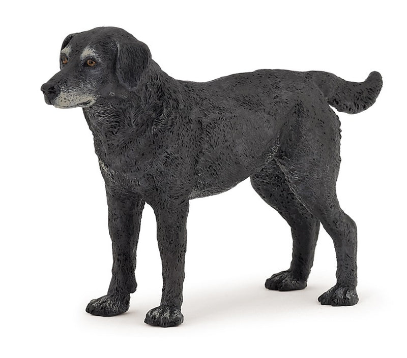 Papo - Cassis Lapdog
