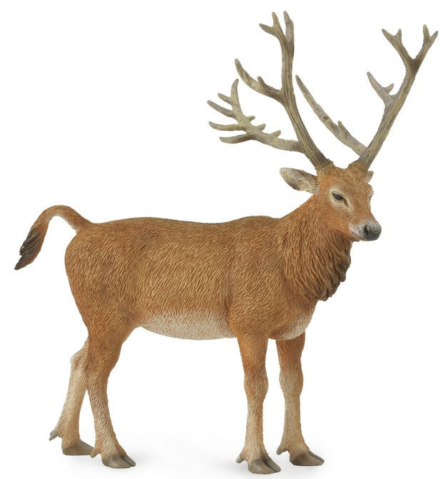 CollectA - Pere Davids Deer