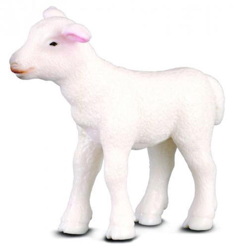 CollectA | Lamb Figurine - Standing