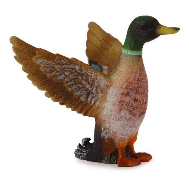 CollectA | Mallard Duck - Male