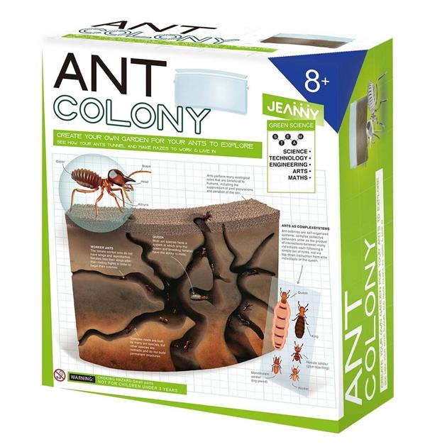 Jeanny | Create Your Own Ant Colony