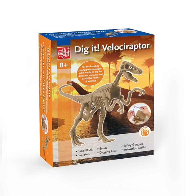 Edu-Toys Dig It Velociraptor RRP $49.99