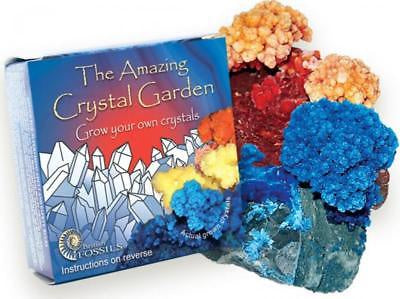 Amazing Crystal Gardens