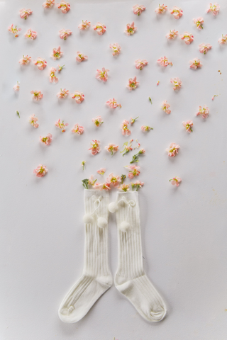 Classical Child | Knee High Pom-Pom Socks - cream