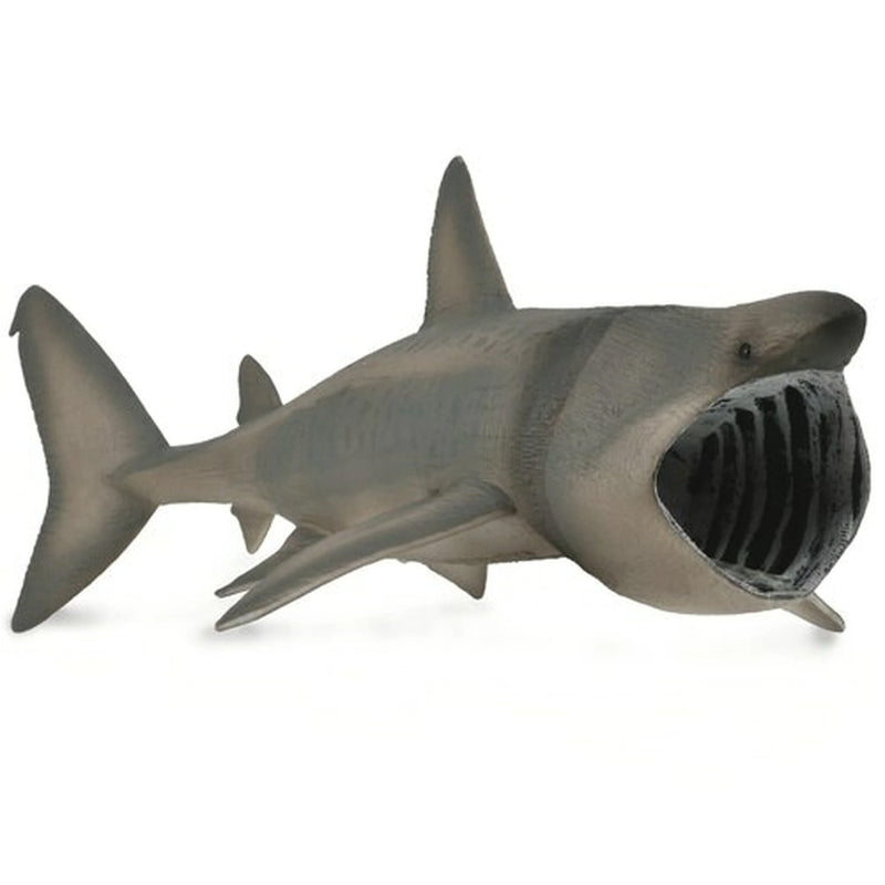 Collecta | Basking Shark