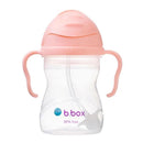B.Box | Gelato V2 Sippy Cup - Tutti Frutti