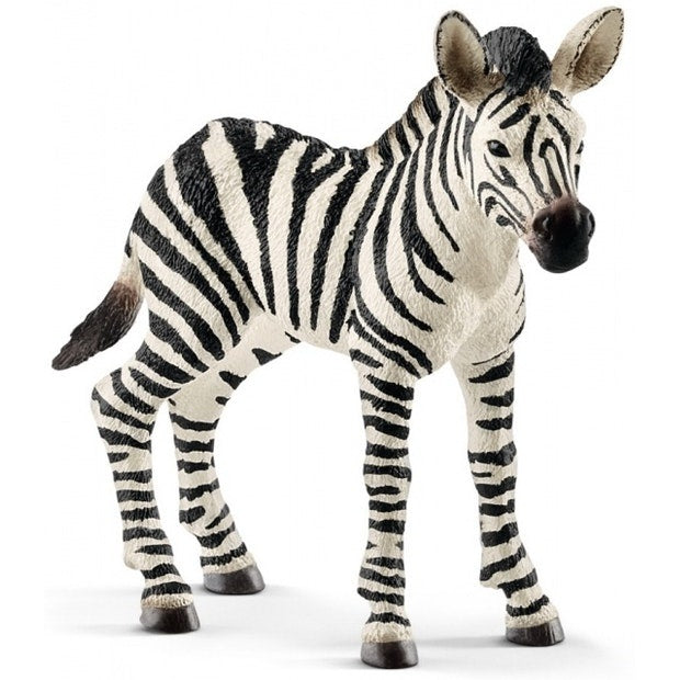 Schleich |  Zebra Foal