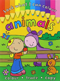 Look What I can Colour Animals