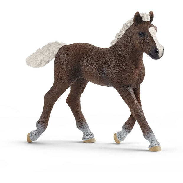 Schleich Black Forest Foal