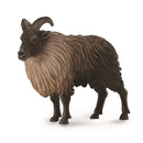 CollectA | Himalayan Tahr