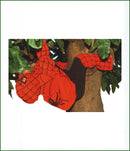 Gollygoh Katipo Kid Costume