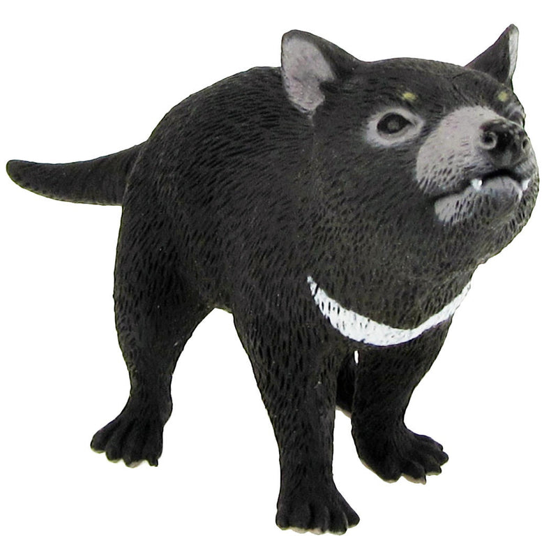 Tasmanian devil