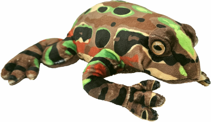 Antics | Archey's Frog Soft Toy