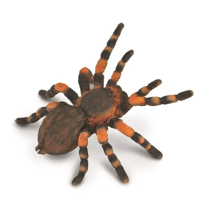 CollectA | Mexican Redknee Tarantula