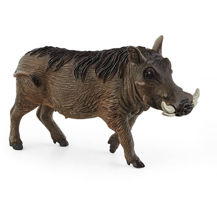 Schleich | Warthog