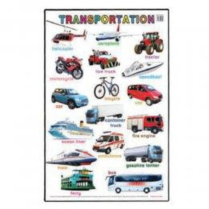 Mind To Mind Educational Poster Transportation