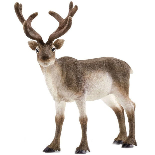 Schleich | Reindeer SC14837