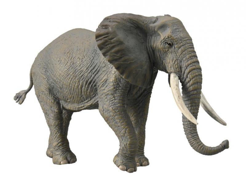 CollectA | African Bush Elephant