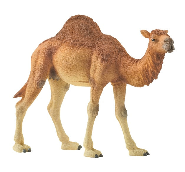Schleich | Dromedary Camel